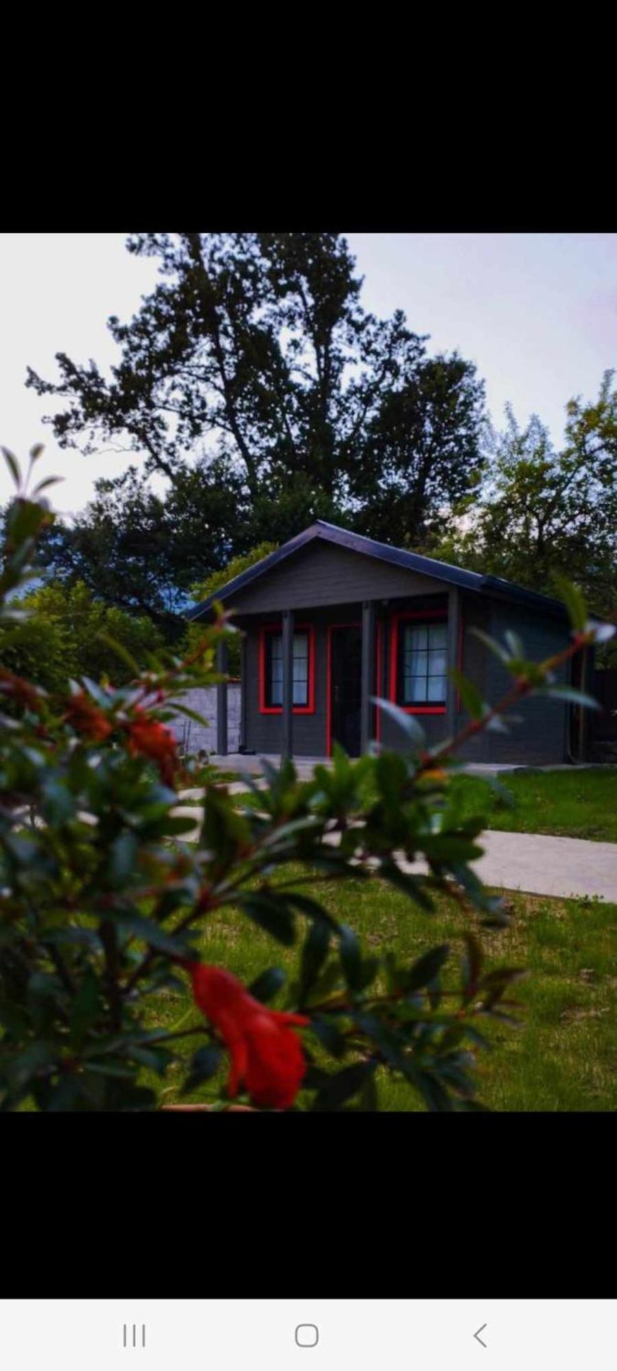 Hotel Brotseulebi Ambrolauri Exteriér fotografie